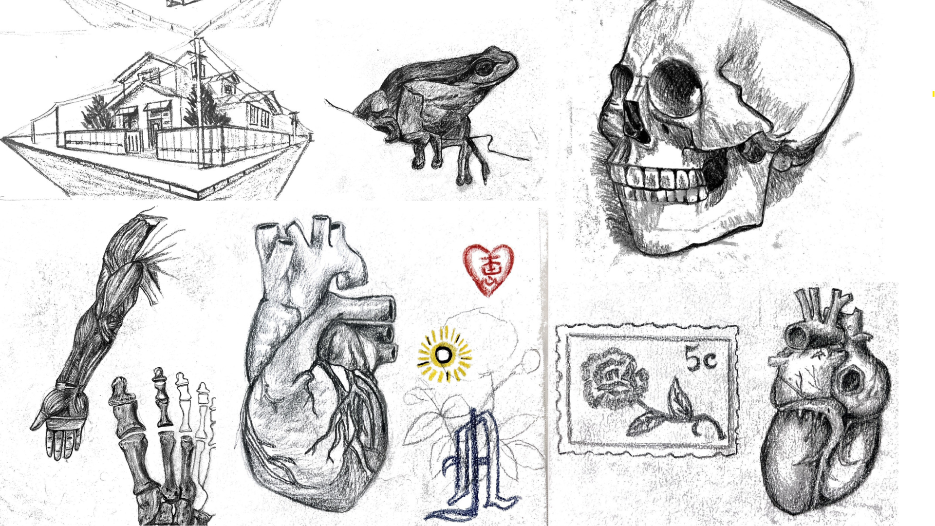 Sketch: Observation study